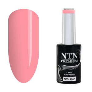 Hybride gelpolish NTN Premium California Collection 141