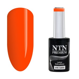 Hybride gelpolish NTN Premium California Collection 142