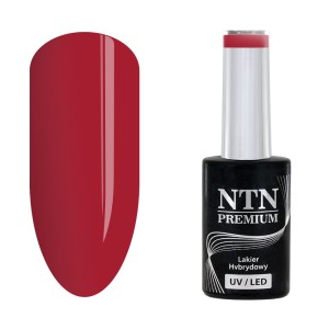 NTN Premium Romantica 103