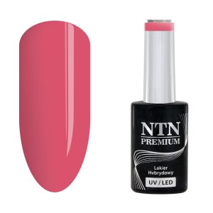 NTN Premium Romantica 108