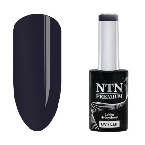 NTN Premium Romantica 101
