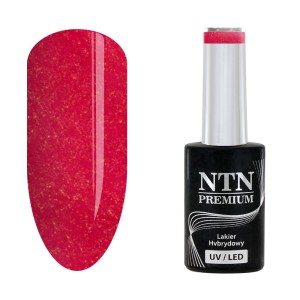 NTN Premium Romantica 102