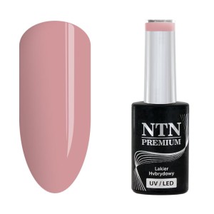 NTN Premium Romantica 106