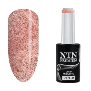 NTN Premium Romantica 107