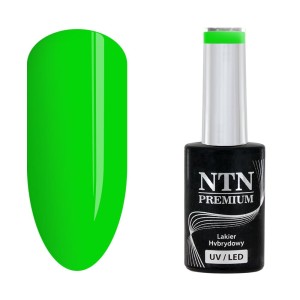 NTN Premium Delight Sorbet 146