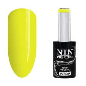 NTN Premium Delight Sorbet 147