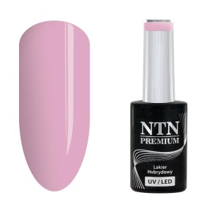 NTN Premium Delight Sorbet 148