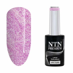 NTN Premium Delight Sorbet 149