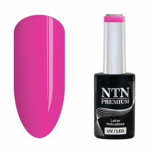 NTN Premium Delight Sorbet 150