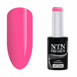 NTN Premium Delight Sorbet 151