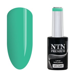 NTN Premium Celebration 163