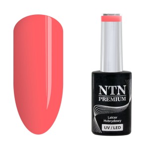 NTN Premium Celebration 164