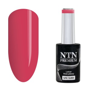 NTN Premium Celebration 165