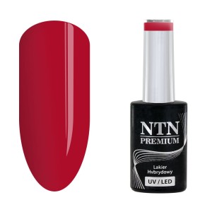 NTN Premium Celebration 168