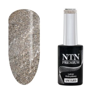 NTN Premium Celebration 169