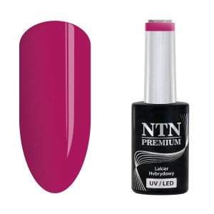 NTN Premium Celebration 171