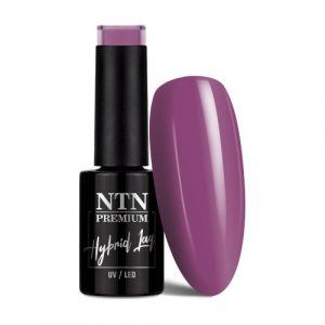 NTN Premium Impression No.253