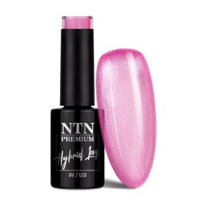 NTN Premium Impression No.254