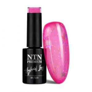 NTN Premium Impression No.255
