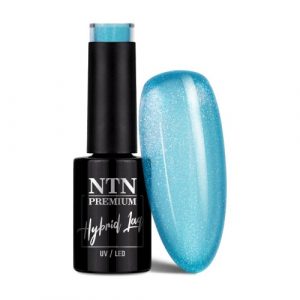 NTN Premium Impression No.256