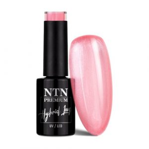 NTN Premium Impression No.258