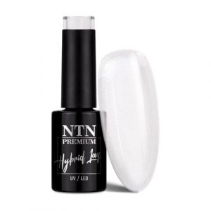 NTN Premium Impression No.260