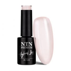 NTN Premium Impression No.261