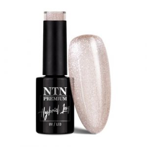 NTN Premium Impression No.262
