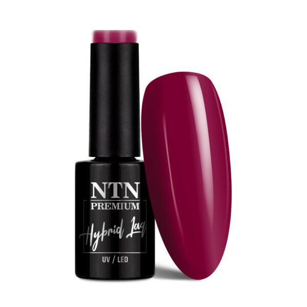 Hybride lak NTN Premium Neomagic 5g nr. 276