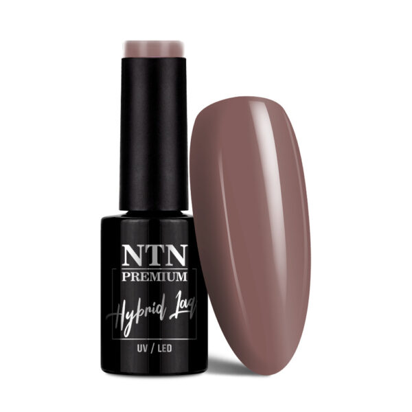 Ntn Premium Milkshake hybridelak 5g nr. 312